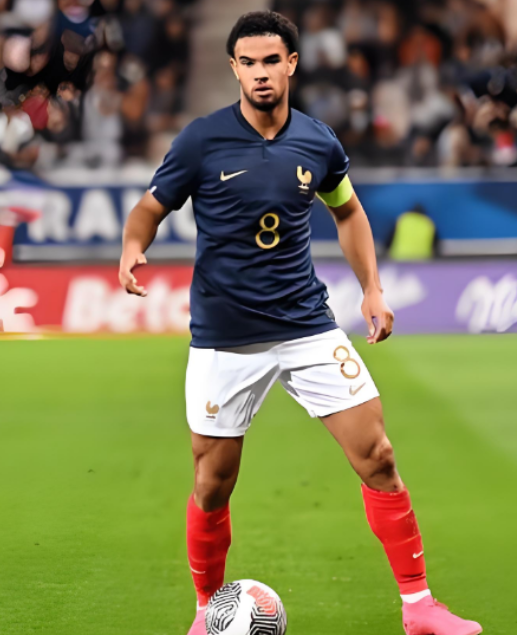 扎伊尔&middot;埃梅里：法国队征程中的奋进之声