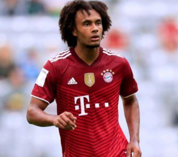 米兰名宿加利深度剖析：弗拉霍维奇与齐尔克泽的转会可行性