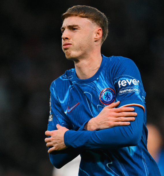 坚守初心，实力铸就辉煌：塞里涅&middot;桑内眼中的帕尔默